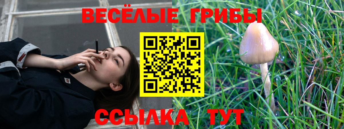 Галлюциногенные грибы MAGIC MUSHROOMS  Псилоцибиновые грибы Magic Shrooms  Вход с VPN  Ипатово 