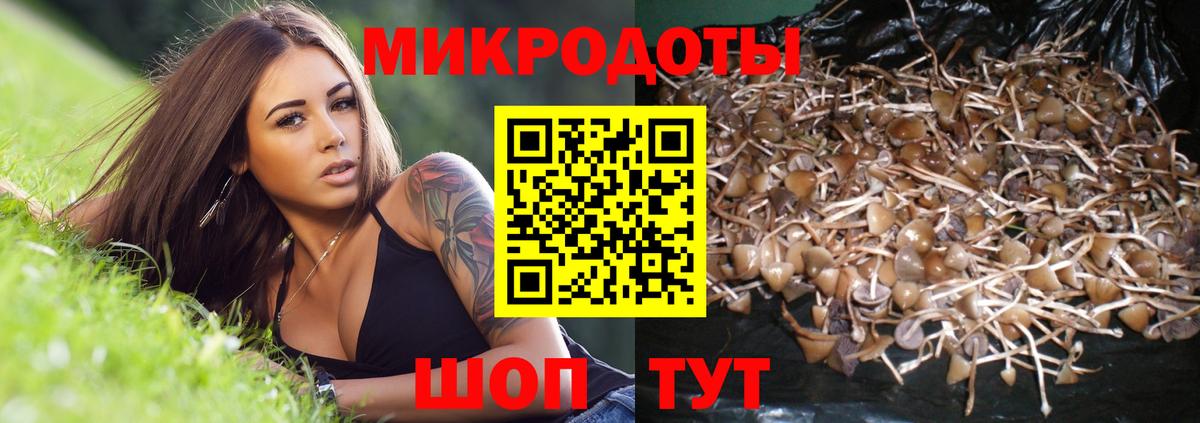 Галлюциногенные грибы мицелий Ипатово